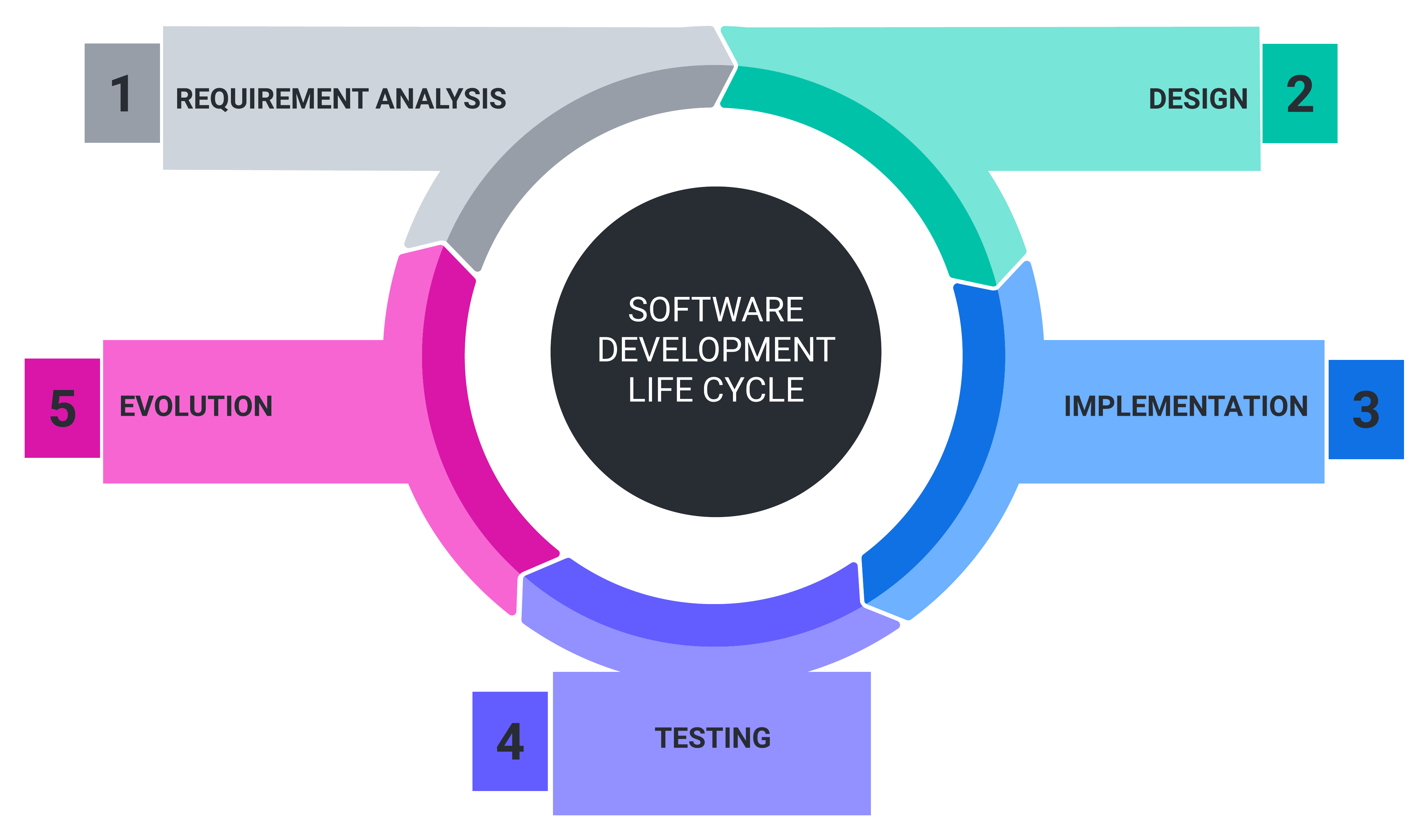 Software development lifecycle: From ideation to deployment